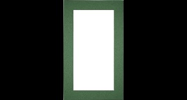 Passe-Partout Fotomaat 20x40 cm - Lijstmaat 30x50 cm - Groen Bos - Museumkarton - Fotolijst niet inbegrepen