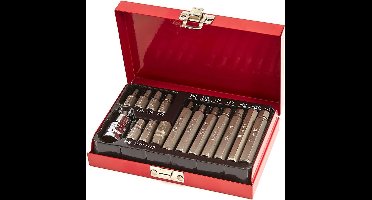 HBM 15 Delige Inbus Bitset met 1/2 adapter