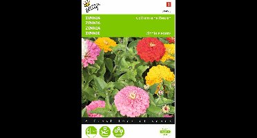 2 stuks - Buzzy - Zinnia elegans Californische Reuzen Gemengd