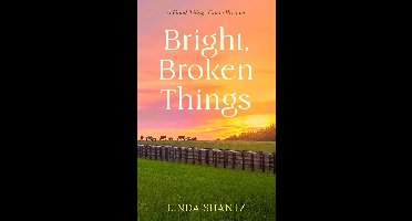 Good Things Come 0.5 - Bright, Broken Things