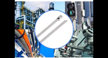 TRU COMPONENTS TC-12656564 Stalen kabelbinder 840 mm 4.6 mm AISI 316 100 stuk(s)