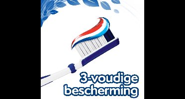 Aquafresh Tandpasta Freshmint 3in1 Gezonde Tanden - 2 x 2 x 75 ml - Voordeelverpakking