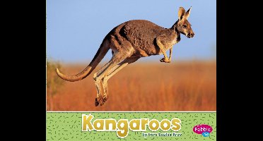 Australian Animals - Kangaroos