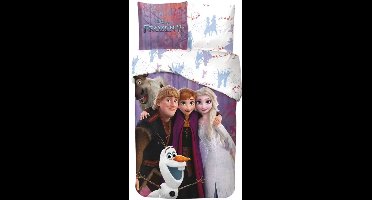 Disney Frozen Magic Team bedding set 140×200cm, 65x65 cm