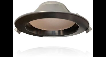 Led Downlight 12 W 4000K Ø165 Grijs