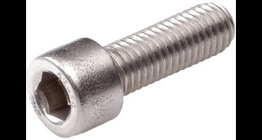 Hoenderdaal Fasteners - Binnenzeskantbout - RVS - A2 - CK - IB-10 - DIN912 M12X30 (50 stuks)