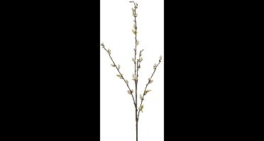 Emerald - Kunsttak Wilg 78cm créme - Kunstplant voor binnen