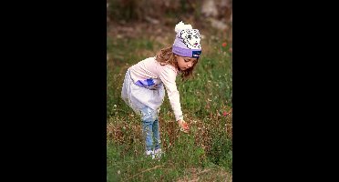 Disney Frozen II - Kindermuts voor de Herfst/Winter 2024 (21x21x1 cm) - Lila