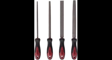 Toolland RASPENSET VOOR HOUT - 20 cm - 4 st.