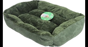 Boon Divan Groen 50 x 40 cm