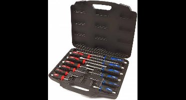 Profi 12 Delige Slagvaste Schroevendraaierset