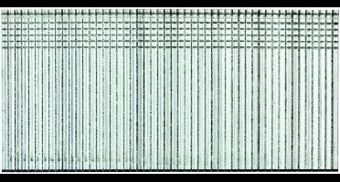 HiKOKI Spijkers afwerk - Brad - 16 GA 50 mm (2500 stuks) - 705571