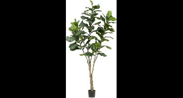 Emerald - Kunstboom Ficus Lyrata 210cm - Kunstplant voor binnen - Ficus kunstplant