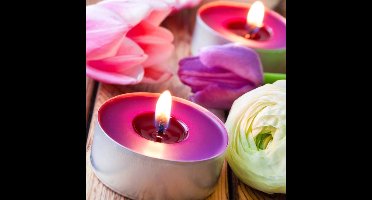 Bolsius - Geurtheelicht - 30 stuks per verpakking - Vanilla