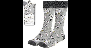 Cerdá life's little moments Harry Potter Socks Hedwig met Letter 38-45 Footwear