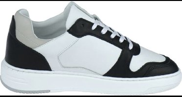 Cycleur de Luxe X-UP