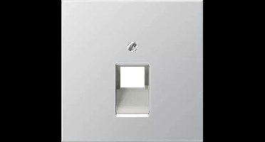 Jung Aluminium/Goudstaal/Chroom Inzetstukken Schakelmateriaal - AL2969-1UA - E2DGS