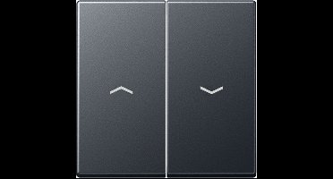 Jung Bedieningselement/Centrale Plaat Schakelmateriaal - A595BFPANM - E365G