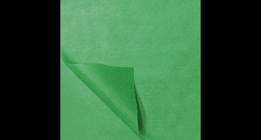 Zijdevloei papier 50x75cm 22gr 100 vel Licht Groen