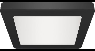 OLGA - LED Plafondlamp - 12W - 1490 Lumen - Aanpasbare Kleur CCT - 3000k 4000k 6500k - Opbouw/Inbouw - Vierkant - Mat Zwart - 164 mm