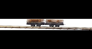 Busch - Zwei Wagen Mit Brettern H0 (Bu12218)