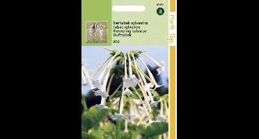 Hortitops Zaden - Nicotiana Sylvestris wit