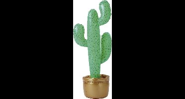 Opblaasbare cactus
