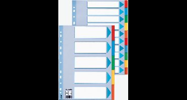 Esselte Tabbladen A4 23 rings 10 tabs
