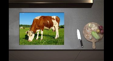 Inductieplaat Beschermer - Bruin met Wit Gevlekte Koe in de Wei - 71x51 cm - 2 mm Dik - Inductie Beschermer - Bescherming Inductiekookplaat - Kookplaat Beschermer van Wit Vinyl