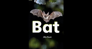 Striders Phonics Readers- Bat (Set 02)