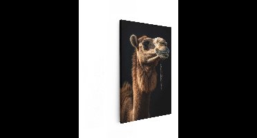 Artaza Canvas Schilderij Close-Up Portret van een Dromedariskamel met een Touw in Zijn Mond - 20x30 cm - Klein - Wanddecoratie Woonkamer - Schilderijen - Muurdecoratie