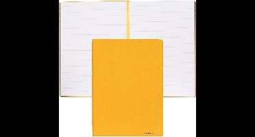 A5 notitieboekje Essential Storyline