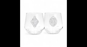 The Legend Of Zelda Zelda & Link - Set van 2 Unisex Drinkglas - doorzichtig - Standard