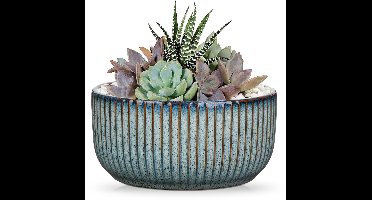 Boraboi® Stijlvolle keramische bloempot met drainagegat voor binnen en buiten gebruik,Blauw,14*15*7,5 cm