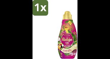 1 x Robijn - Klein & Krachtig Color Tropical - Wasmiddel - 19 Wasbeurten - 665 ml - Kleurbehoud - Tropische Geur - Gekleurde Was - Wasmiddel - Wasverzachter