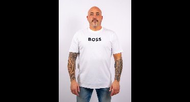 BOSS TS_Logo