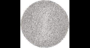 4x Zilveren Placemat Rond - Coral Silver - Zilver - Decoratie - 38cm rond - 4 stuks