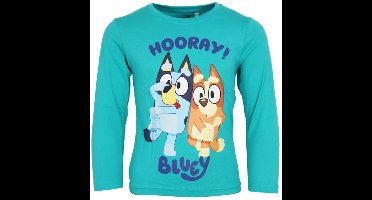 Disney Frozen kinderjas met vulling 5 jaar