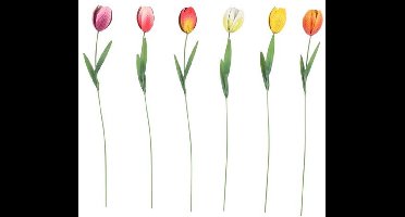 Countryfield Tuinsteker Tulipa H60cm.