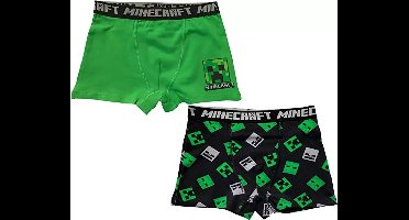 Minecraft kinderboxers 2-pack/12 jaar