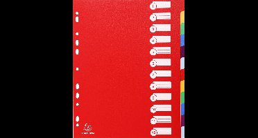 Exacompta 15x Tabbladen in stevige Ondoorzichtige PP - 12 tabs - A4 maxi - Geassorteerd - 4812E