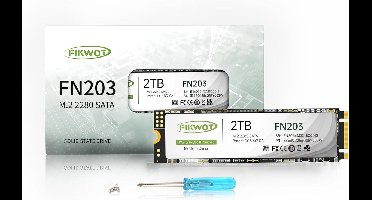 M.2 SATA SSD 256 GB - 3D NAND TLC SATA III 6 Gb/s voor Ultrabooks en Tablets