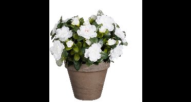 Mica Decorations Kunstplant - Azalea - Wit - in pot - 31 cm - nepplanten
