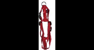 Martin Hondentuig Basic Nylon Rood