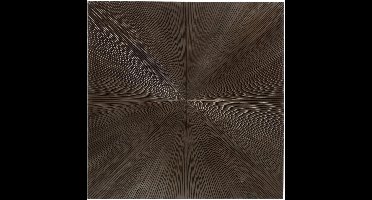 PTMD Wandpaneel Zapp - 90x2x90 cm - Hout - Bruin