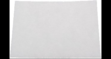 BOSCH - Bionic motorbeschermingsfilter voor stofzuigers - 00425965