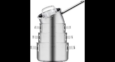 Sola Juvia Premium pannensets - 4-delig - Premium RVS Pannen - Geschikt voor Elke Warmtebron - PFAS Vrij - Zilver