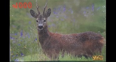 Fame puzzel Puzzel 1000 stukjes Hert