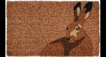 Esschert Design Deurmat 45 X 75 Cm Kokosvezel Bruin