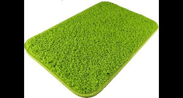 Karpet Batan - Lichtgroen - 160 x 240 cm